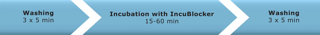 Washing (3 x 5 min) --> Incubation with IncuBlocker (15 min-1h) --> Washing (3-4 x 5 min)